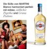 Martini Bianco Wermut Aperitif Kräuter Blumen 14,4 vol