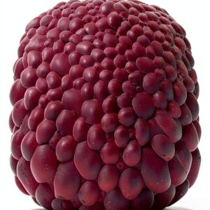 Routledge Buch Englisch 252 Seiten Wissenschaft Forschung-0