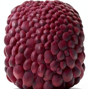 Routledge Buch Englisch 252 Seiten Juni 2024 Edition-0